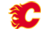 Calgary Flames 4078839023